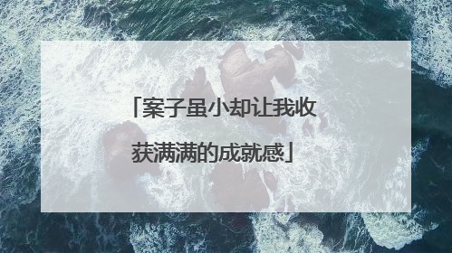 案子虽小却让我收获满满的成就感