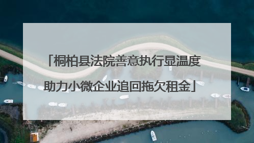 桐柏县法院善意执行显温度 助力小微企业追回拖欠租金