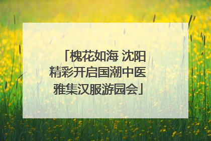 槐花如海 沈阳精彩开启国潮中医雅集汉服游园会