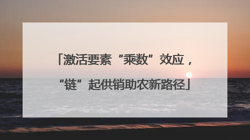 激活要素“乘数”效应，“链”起供销助农新路径