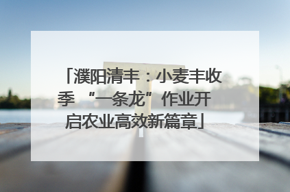 濮阳清丰：小麦丰收季 “一条龙”作业开启农业高效新篇章