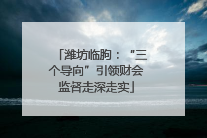 潍坊临朐：“三个导向”引领财会监督走深走实