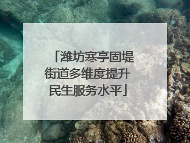 潍坊寒亭固堤街道多维度提升民生服务水平