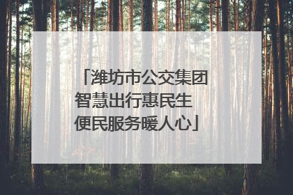 潍坊市公交集团智慧出行惠民生 便民服务暖人心