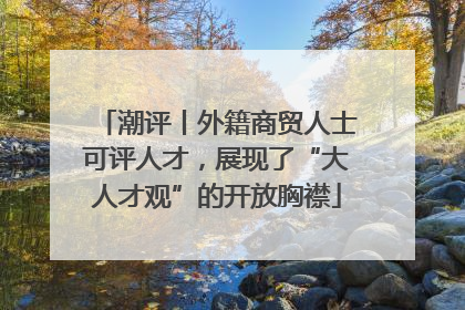 潮评丨外籍商贸人士可评人才，展现了“大人才观”的开放胸襟