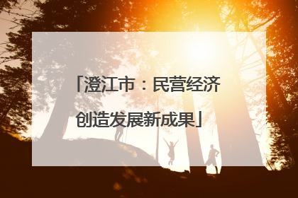 澄江市：民营经济创造发展新成果