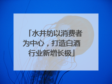 水井坊以消费者为中心，打造白酒行业新增长极