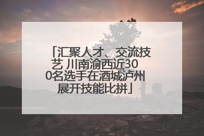 汇聚人才、交流技艺 川南渝西近300名选手在酒城泸州展开技能比拼