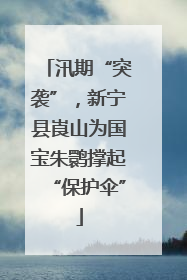 汛期“突袭”，新宁县崀山为国宝朱鹮撑起“保护伞”