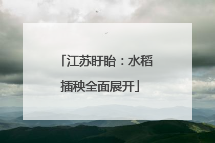 江苏盱眙：水稻插秧全面展开