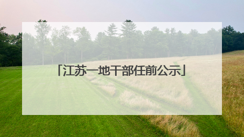 江苏一地干部任前公示