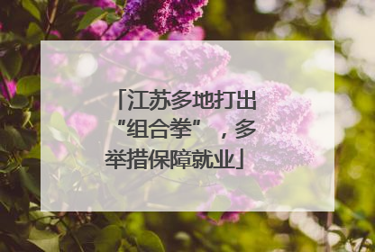 江苏多地打出“组合拳”，多举措保障就业