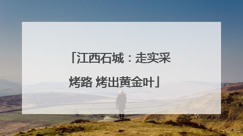 江西石城：走实采烤路 烤出黄金叶