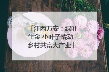 江西万安：绿叶生金 小叶子撬动乡村共富大产业