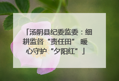 汤阴县纪委监委：细耕监督“责任田” 暖心守护“夕阳红”