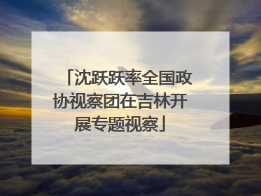 沈跃跃率全国政协视察团在吉林开展专题视察
