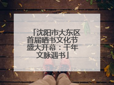 沈阳市大东区首届晒书文化节盛大开幕：千年文脉遇书
