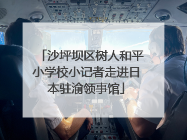 沙坪坝区树人和平小学校小记者走进日本驻渝领事馆