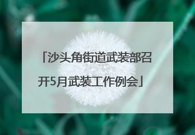 沙头角街道武装部召开5月武装工作例会
