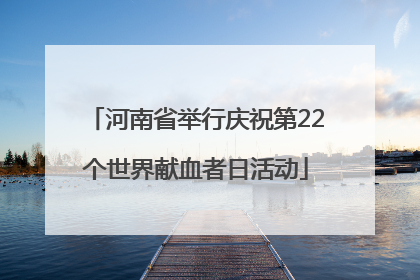 河南省举行庆祝第22个世界献血者日活动