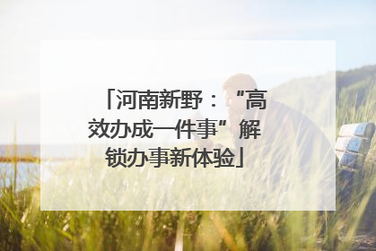 河南新野：“高效办成一件事”解锁办事新体验