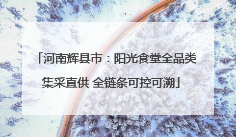 河南辉县市：阳光食堂全品类集采直供 全链条可控可溯