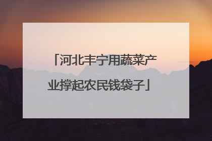 河北丰宁用蔬菜产业撑起农民钱袋子