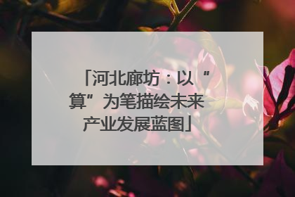 河北廊坊：以“算”为笔描绘未来产业发展蓝图