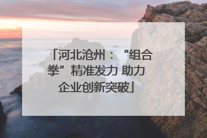 河北沧州：“组合拳”精准发力 助力企业创新突破