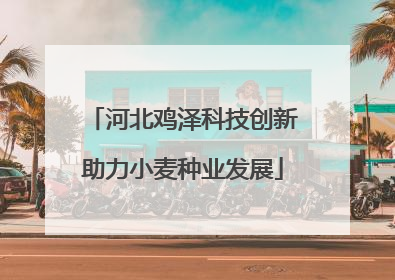 河北鸡泽科技创新助力小麦种业发展