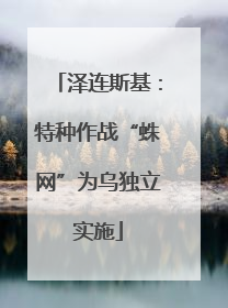 泽连斯基：特种作战“蛛网”为乌独立实施