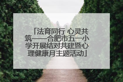 法育同行 心灵共筑——合肥市五一小学开展结对共建暨心理健康月主题活动