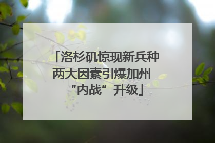 洛杉矶惊现新兵种 两大因素引爆加州“内战”升级