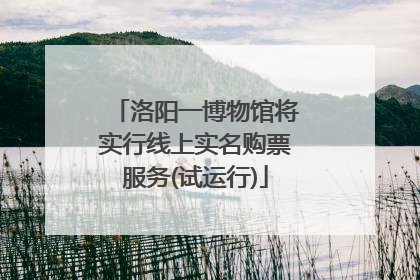 洛阳一博物馆将实行线上实名购票服务(试运行)