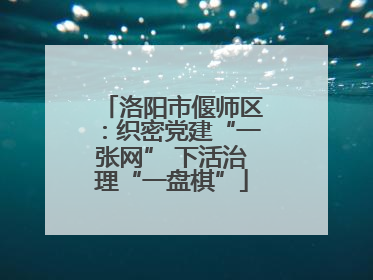 洛阳市偃师区：织密党建“一张网” 下活治理“一盘棋”