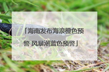 海南发布海浪橙色预警 风暴潮蓝色预警