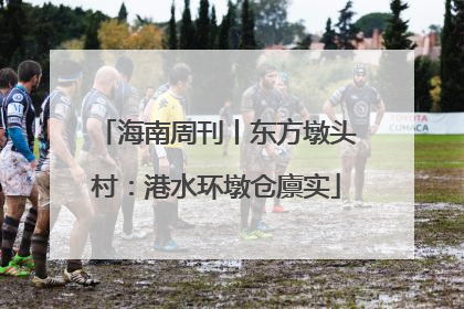 海南周刊丨东方墩头村：港水环墩仓廪实