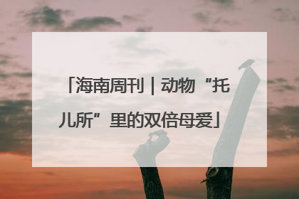海南周刊｜动物“托儿所”里的双倍母爱