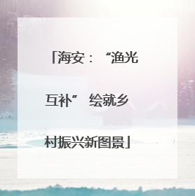 海安：“渔光互补” 绘就乡村振兴新图景