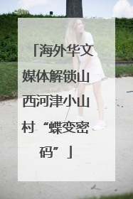 海外华文媒体解锁山西河津小山村“蝶变密码”