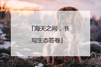 海天之间，书写生态答卷