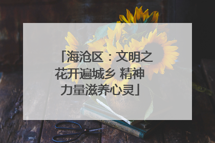 海沧区：文明之花开遍城乡 精神力量滋养心灵