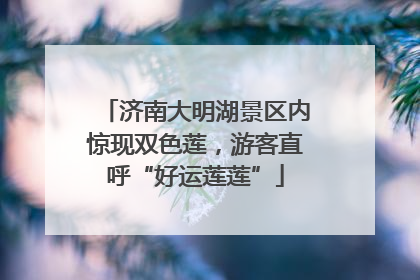 济南大明湖景区内惊现双色莲，游客直呼“好运莲莲”