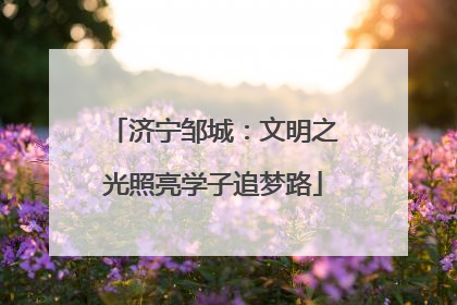 济宁邹城：文明之光照亮学子追梦路