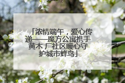 浓情端午，爱心传递——魔方公寓携手黄木 厂社区暖心守护城市蜂鸟