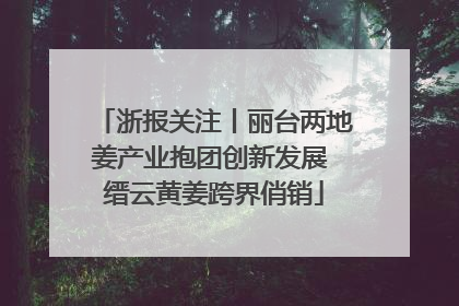 浙报关注丨丽台两地姜产业抱团创新发展 缙云黄姜跨界俏销