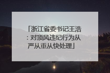 浙江省委书记王浩：对顶风违纪行为从严从重从快处理