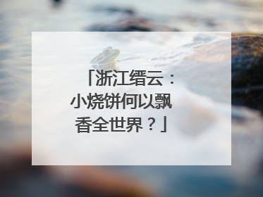 浙江缙云：小烧饼何以飘香全世界？