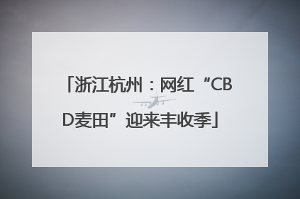 浙江杭州:网红“CBD麦田”迎来丰收季