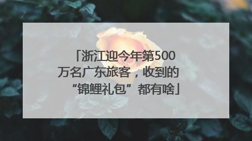 浙江迎今年第500万名广东旅客，收到的“锦鲤礼包”都有啥